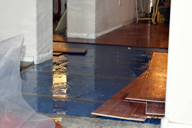 Professional Burst Pipe Cleanup technician working in Patten, ME